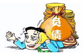 川汇专业讨债公司有哪些核心服务？